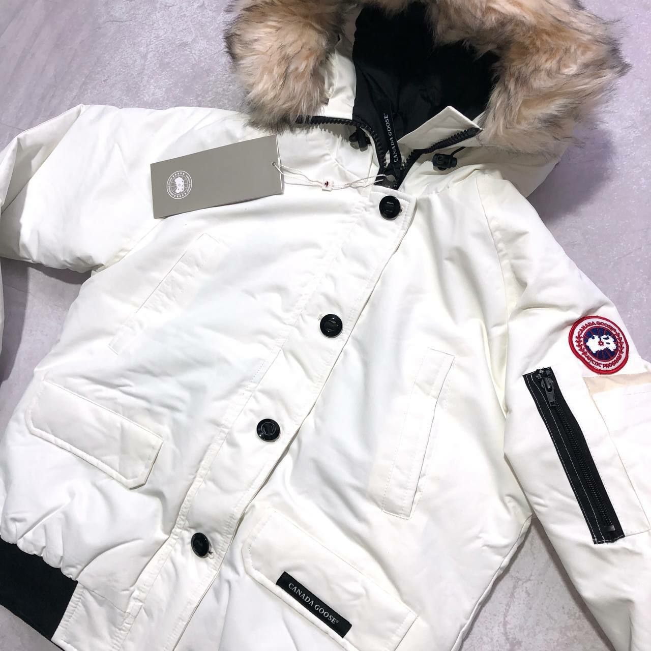 AAA Quality Canada Goose Jacket - Image 4